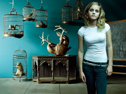 Emma Watson, Harry Potter, skådespelerska, HD tapet HD wallpaper