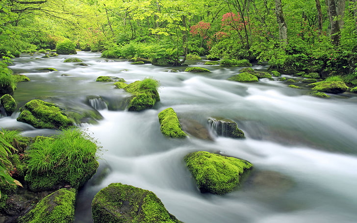 River Oirase Area Kamikita Oirase Stream Is About 14 Km To The Flow Yakeyama Desktop Hd Wallpaper, HD wallpaper