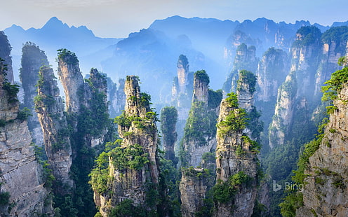 Китай Хунань Чжанцзяцзе Национальный лесной парк 2018 г., HD обои HD wallpaper