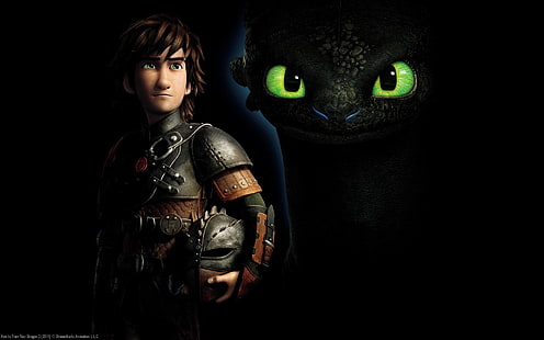 Toothless from How To Train Your Dragon, Movie, How to Train Your Dragon 2, Hiccup (How to Train Your Dragon), Toothless (How to Train Your Dragon), HD wallpaper HD wallpaper