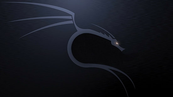 Kali Linux NetHunter, Linux, Kali Linux, HD-Hintergrundbild HD wallpaper