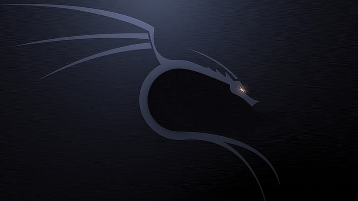 papel de parede de dragão cinza e preto, Linux, Kali Linux NetHunter, Kali Linux, HD papel de parede