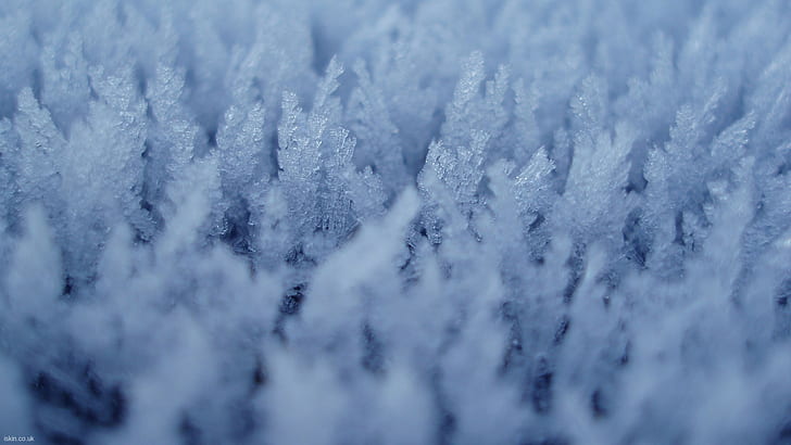 ice, Ice crystals, white, blue, HD wallpaper