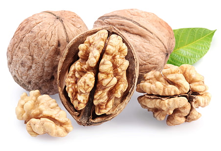 brown nut, nuts, leaf, white background, cut, HD wallpaper HD wallpaper