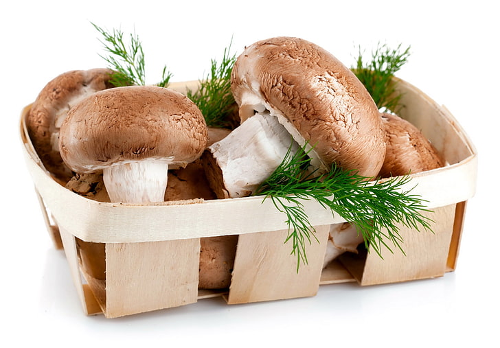 brown mushroom, mushrooms, herbs, vegetables, HD wallpaper