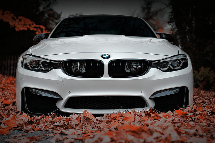 BMW ، أمامي ، أبيض ، خريفي ، وجه ، F80 ، البصر ، عدواني، خلفية HD