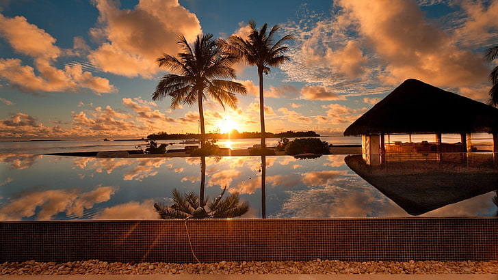 siluet dua pohon kelapa, senja, air, gubuk, kolam renang, matahari terbenam, Wallpaper HD