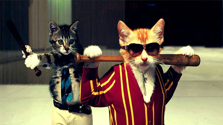 dua kucing kucing oranye dan hitam, seni digital, kucing, mafia, bisbol, kelelawar bisbol, humor, Wallpaper HD