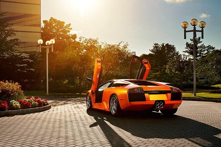 оранжевый спортивный автомобиль, цветы, оранжевый, Lamborghini, асфальтоукладчики, Blik, Murcielago, открытые двери, murciélago, двери Lambo, фонарный столб, HD обои
