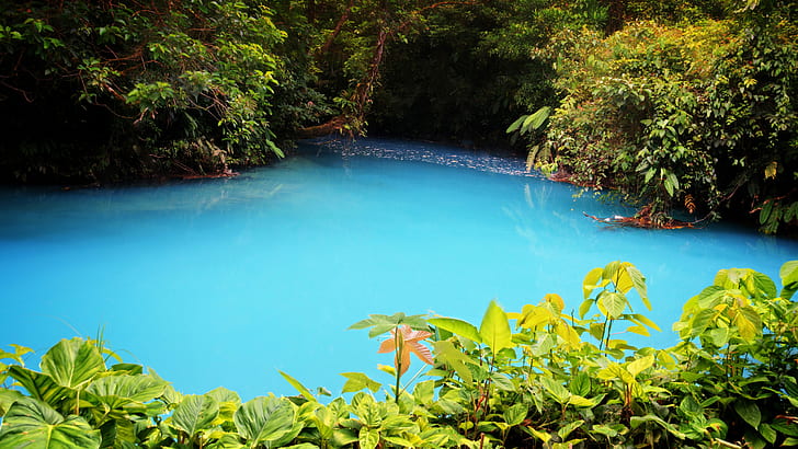 Река Селеста с бирюзовой водой - река в вулкане Тенорио Национальный парк Коста-Рики в Центральной Америке Фотообои Hd 2560 × 1440, HD обои