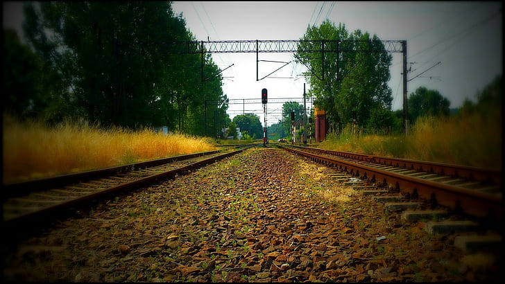 السكك الحديدية ، إشارات المرور ، خطوط الكهرباء ، في الهواء الطلق ، الأشجار، خلفية HD