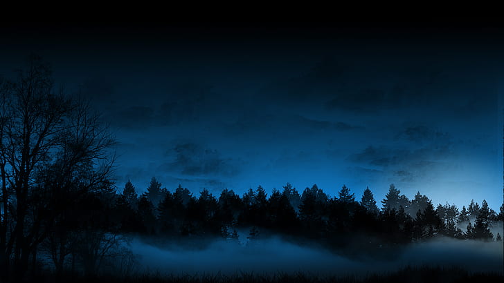 Night Forest Trees Fog Mist HD, silhouette of pine trees, nature, trees, night, forest, fog, mist, HD wallpaper