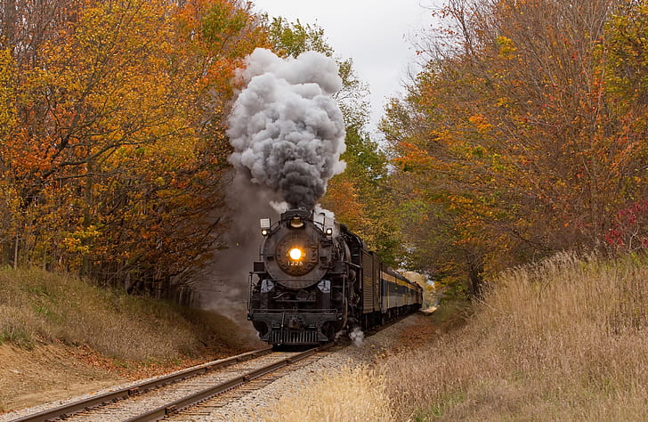 Vehicles, Train, Fall, Locomotive, Railroad, Smoke, Tree, Vehicle, HD wallpaper