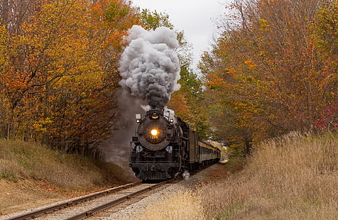 Vehicles, Train, Fall, Locomotive, Railroad, Smoke, Tree, Vehicle, HD wallpaper HD wallpaper