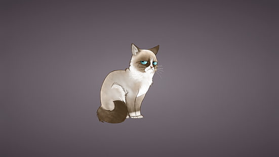 Katze, mürrische Katze, Minimalismus, HD-Hintergrundbild HD wallpaper