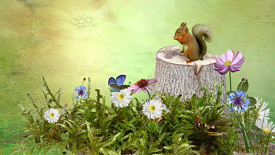 Squirrel On A Stump, firefox persona, field, squirrel, tree, summer, stump, flowers, moss, 3d and abstract, HD wallpaper HD wallpaper