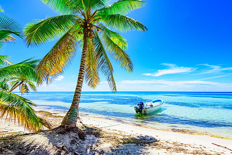 палмово дърво тапет, пясък, море, плаж, слънце, палми, бряг, лодка, лято, остров, рай, палми, тропически, HD тапет HD wallpaper