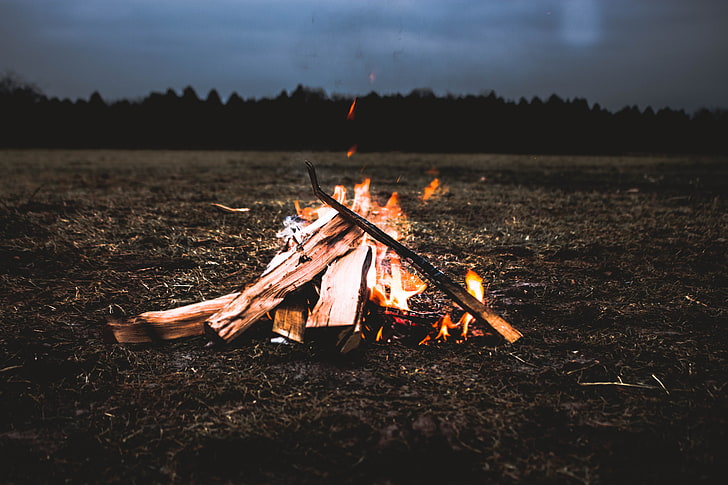 kayu api, api unggun, kayu bakar, api, Wallpaper HD