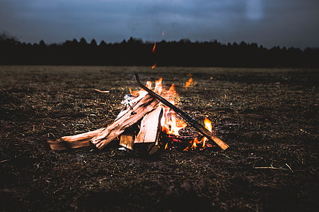 kayu api, api unggun, kayu bakar, api, Wallpaper HD HD wallpaper