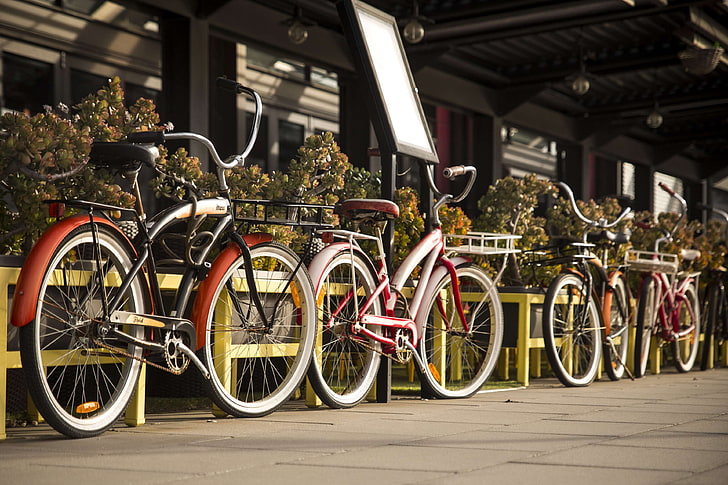 bicycles, bikes, parked, pavement, HD wallpaper