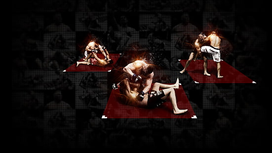 collage de shorts negros para hombres, luchadores, mma, campeones, ufc, artes marciales mixtas, georges st-pierre, brock lesnar, frank mir, Fondo de pantalla HD HD wallpaper