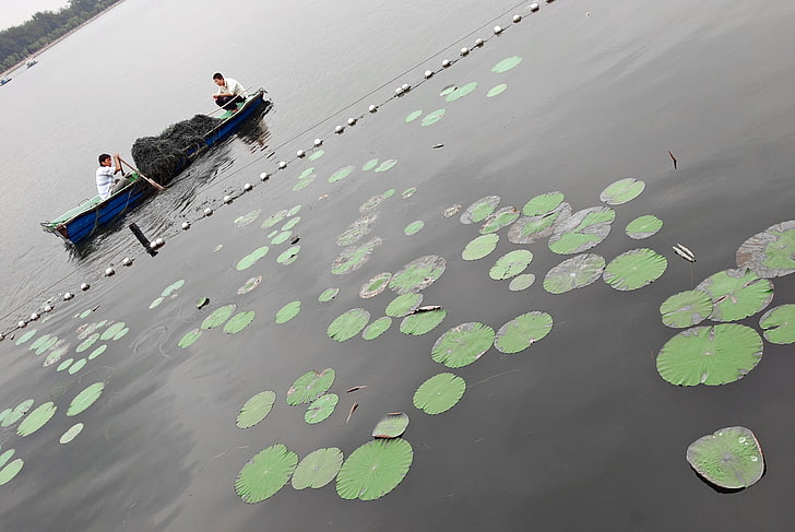 Beijing, fishing, lake, HD wallpaper