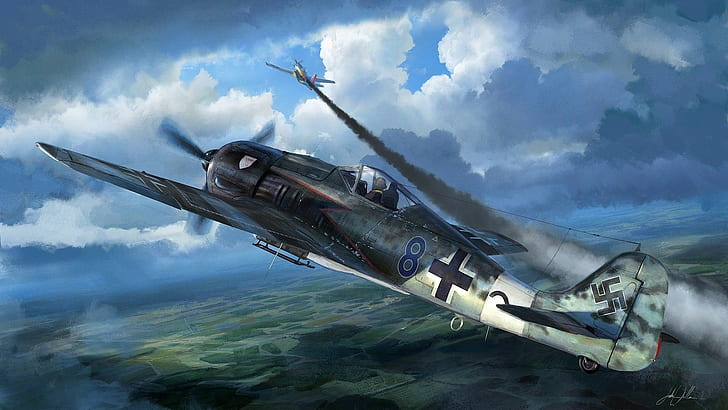 aircraft, airplane, Focke Wulf, Fw 190, Germany, Luftwaffe, military, Military Aircraft, World War II, HD wallpaper