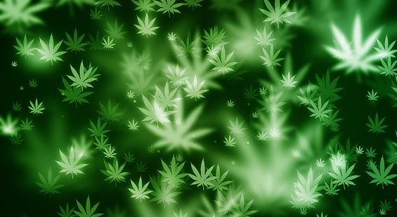 Unkraut Bokeh, Cannabis Clipart, Lustig, Grün, Künstlerisch, Hintergrund, Bokeh, Unkraut, HD-Hintergrundbild HD wallpaper