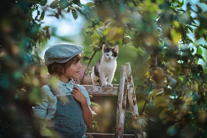 Fotografie, Kind, Katze, Kätzchen, Kleiner Junge, Haustier, HD-Hintergrundbild