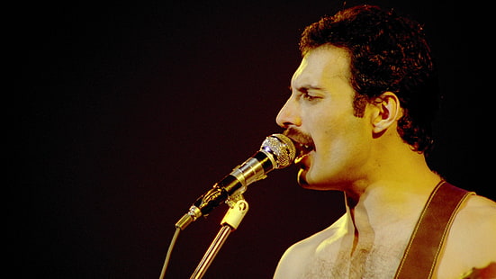 Freddie Mercury cantanti Queen Music Band Rip 1920x1080 Entertainment Music HD Arte, cantanti, Freddie Mercury, Sfondo HD HD wallpaper