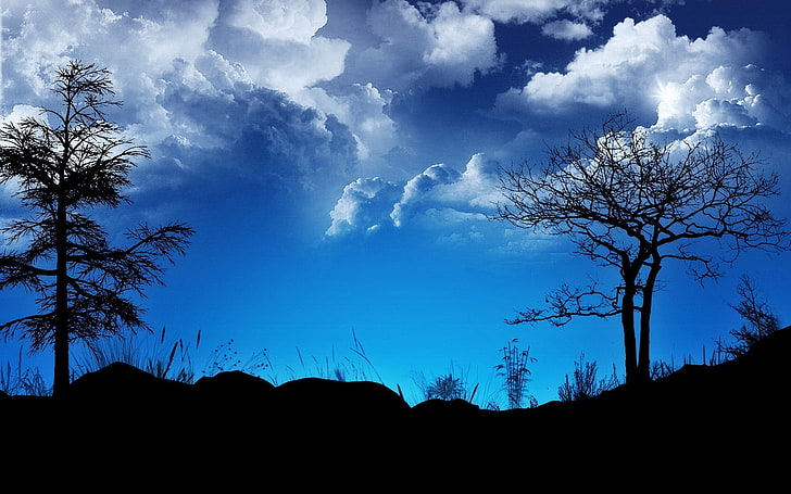 black trees, clouds, sky, night, outlines, blue, black, trees, HD wallpaper