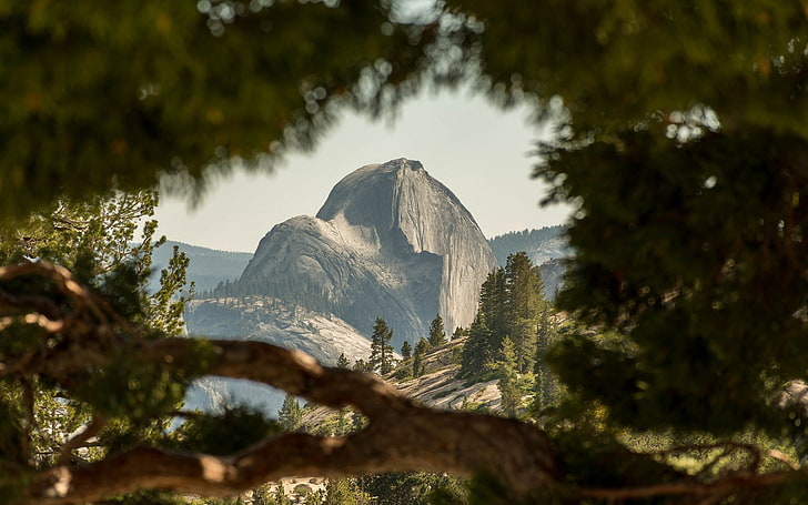 brown mountain, nature, mountains, Yosemite National Park, landscape, USA, trees, depth of field, Half Dome, national park, HD wallpaper