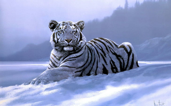 Сибирский тигр Снежный зверь, сибирский тигр, снег, зверек, HD обои