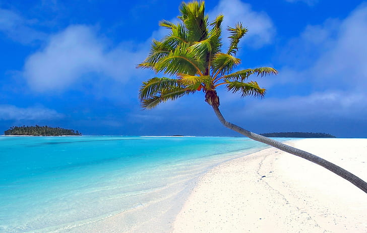 Maldiverna, strand, palmer, sand, hav, HD tapet