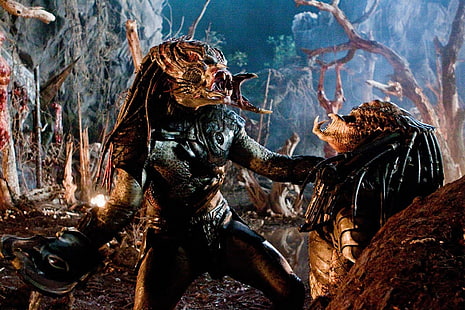 Predator, Predators, Berserker (นักล่า), วอลล์เปเปอร์ HD HD wallpaper