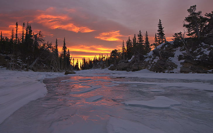 Matahari Terbenam Musim Dingin, sungai, tee, awan, matahari terbenam, musim dingin, alam, dan lanskap, Wallpaper HD