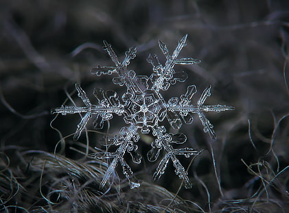 Amazing Real Snowflake Macro, Seasons, Winter, Blue, Dark, Nature, Beautiful, Abstract, White, Gray, Star, Design, Light, Small, Stars, Background, Frozen, Grey, Cold, Photography, Transparent, Macro, Crystal, Snow, Fractal, Structure, Symbol, Outdoor, Outdoors, Snowflake, Beauty, Weather, Closeup, Shape, Frost, Natural, Tiny, Tangled, Real, Pretty, Complex, Stellar, Snowfall, unique, Ornament, rare, detail, glowing, Symmetry, ze, intricate, depthoffield, geometric, fragile, magnified, detailed, microscope, dendrite, glittering, HD wallpaper HD wallpaper