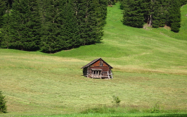 brown wooden barn, meadow, small house, greens, log hut, trees, fur-trees, HD wallpaper