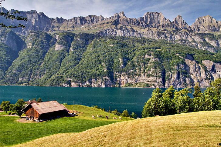 дом и озеро с горой на расстоянии на пейзажной фотографии, Ферма, Альпы, дом, озеро, гора, расстояние, пейзажная фотография, трава зеленая, зеленая желтая, весна дерева, теплая, высокая, снежная, голубое чистое небо, туристическая достопримечательность, швейцарец,Швейцария, Интерлакен, canon t2i, 550d, сигма, 70мм, крупный рогатый скот, коровы, лошади, природа, пейзаж, лето, сценики, европа, на открытом воздухе, европейские Альпы, вода, HD обои