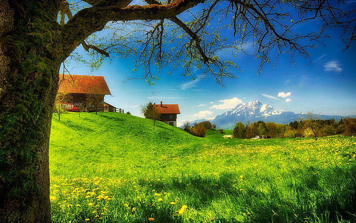 Spring greens, houses, grass, mountains, flowers, tree, meadow, sunny, Spring, Houses, Grass, Mountains, Flowers, Tree, Meadow, Sunny, HD wallpaper