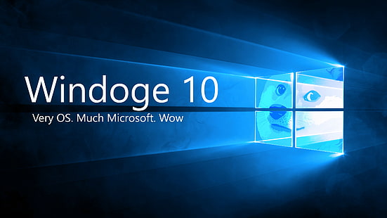 Dogen Microsoft Windows Shiba Inu Meme, HD-Hintergrundbild HD wallpaper
