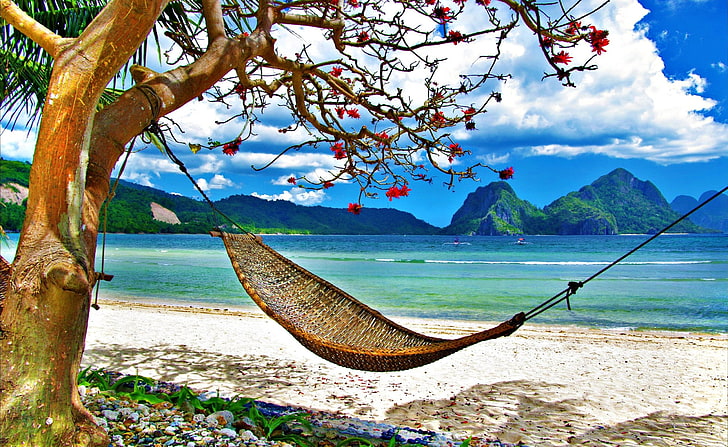 Perfect Place To Relax, brown wicker hammock, Seasons, Summer, Perfect, Relax, Place, HD wallpaper