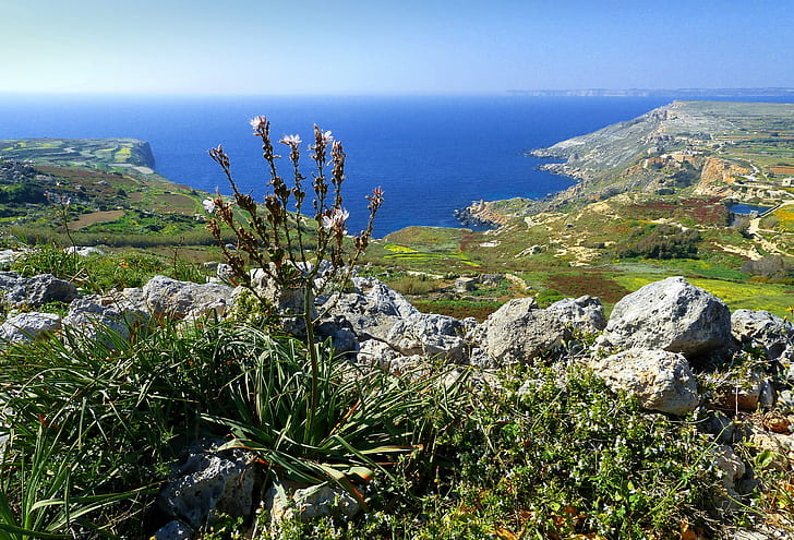 Мальта, залив, скалы, небо, растение, залив, Мальта, камни, море, HD обои