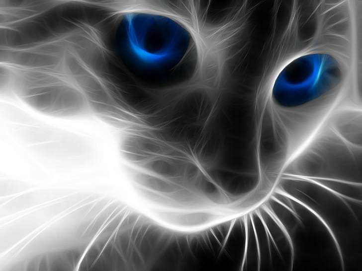 Fractalius, gato, ojos azules, animales, Fondo de pantalla HD
