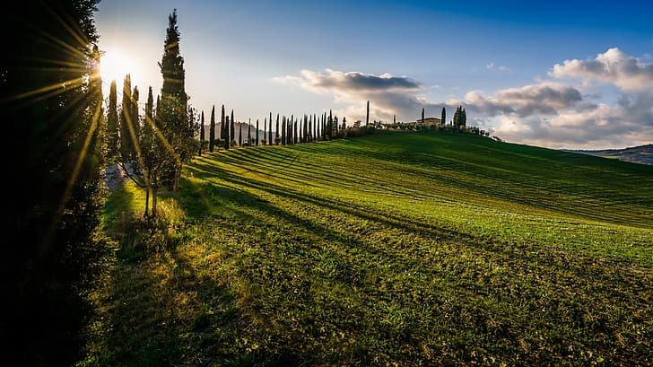 field, trees, sunset, Italy, cypress, Tuscany, HD wallpaper