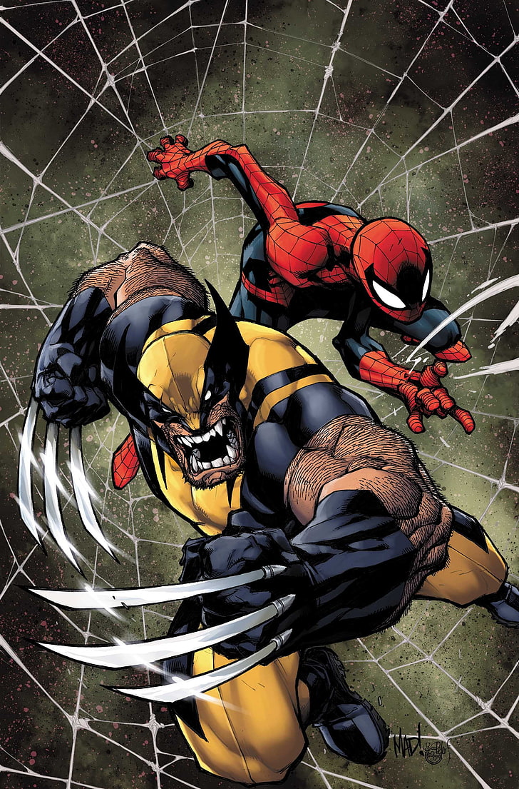 Marvel Wolverine et Spider-man illustration, Marvel Comics, Spider-Man, Wolverine, Fond d'écran HD, fond d'écran de téléphone