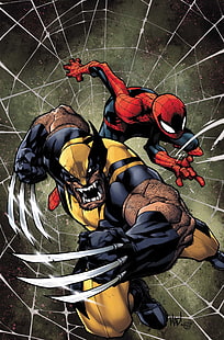 Marvel Wolverine ve Örümcek Adam illüstrasyon, Marvel Comics, Örümcek Adam, Wolverine, HD masaüstü duvar kağıdı HD wallpaper