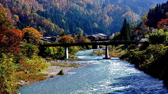 Shirakawa-go, Japan, by, flod, bro, berg, träd, Japan, by, flod, bro, berg, träd, Shirakawago, HD tapet HD wallpaper