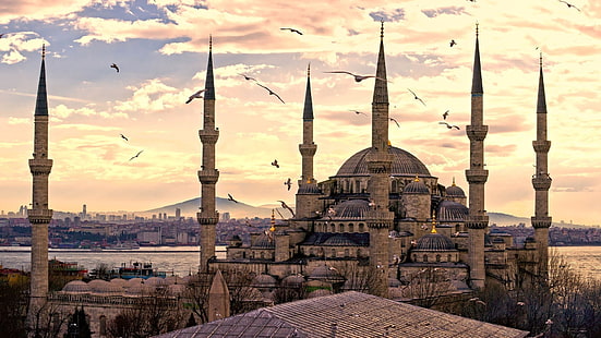 gray mosque, flock of birds above Sultan Ahmed Mosque, Istanbul Turkey during golden hour, mosque, Istanbul, Turkey, Sultan Ahmed Mosque, Islam, architecture, cityscape, sky, birds, HD wallpaper HD wallpaper