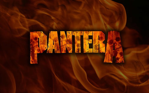 Группа (Музыка), Pantera, Хеви-метал, Трэш-метал, HD обои HD wallpaper